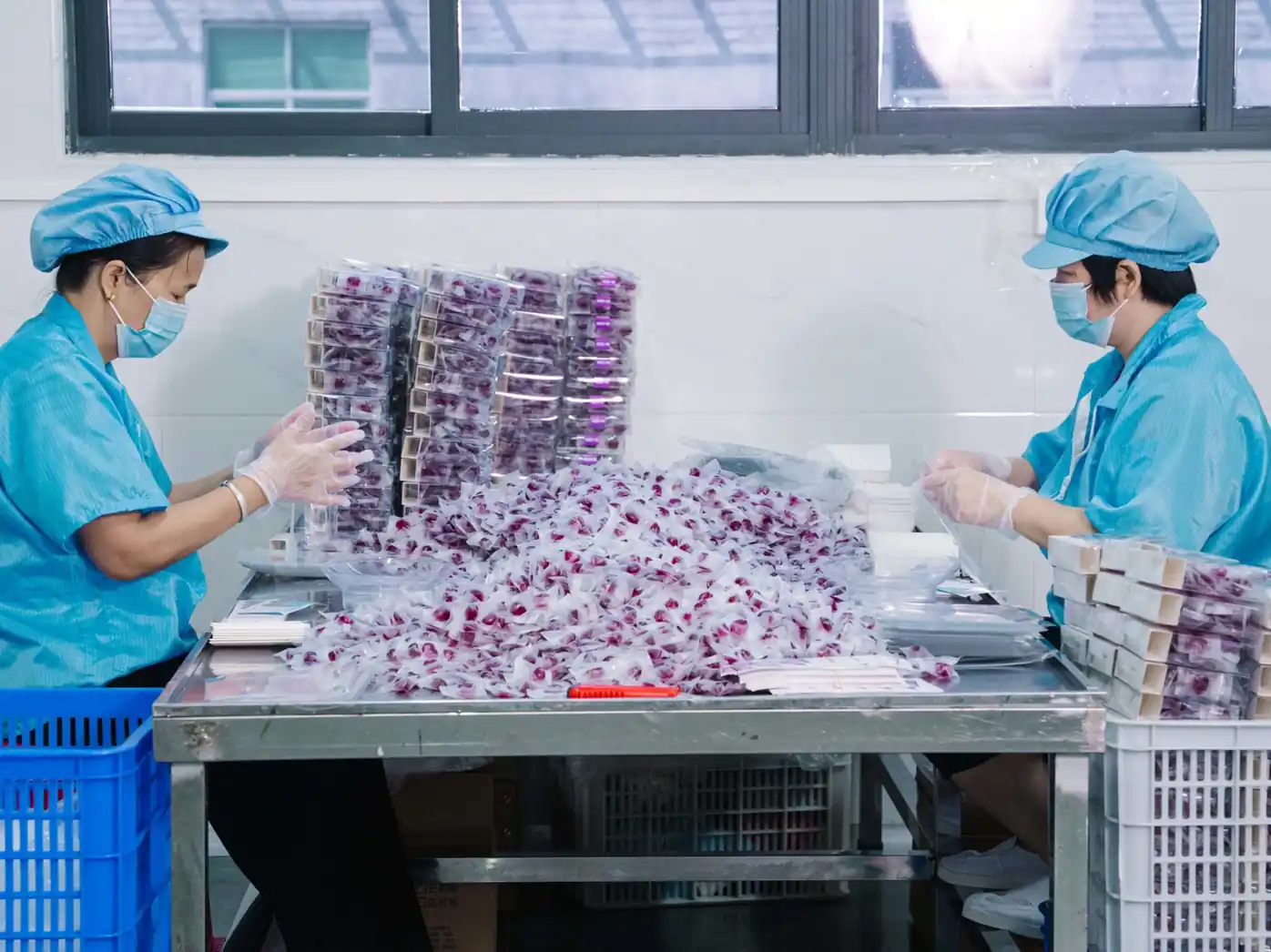 Candy workshop workers sorting wrapped pieces